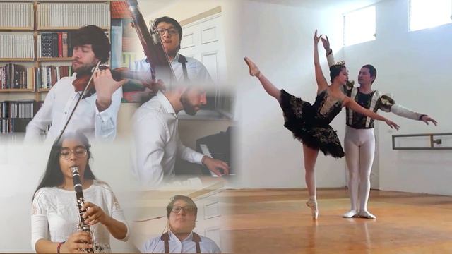 Solo Del Cisne Negro De Lago De Los Cisnes. Swan Lake - Black Swan Solo. Música Y Danza. Tchaikovsk