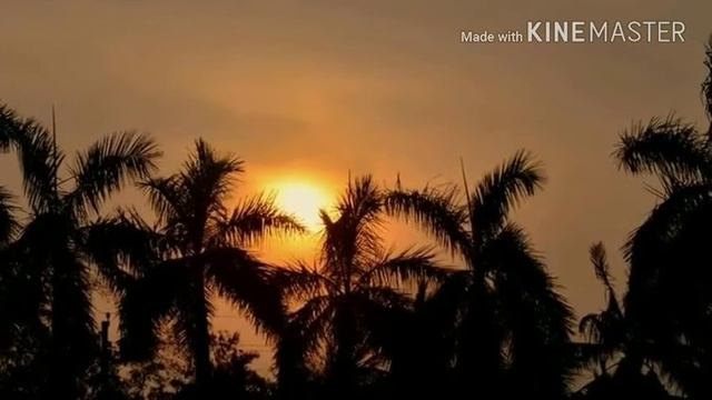 A weekend tour of Gadiara geonkhali & haldia смотреть онлайн