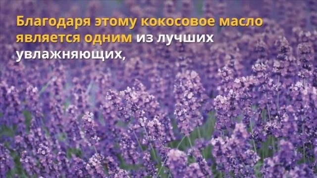 Уход за кожей лица Средства по уходу за телом Мыло Эраконд смотреть онлайн
