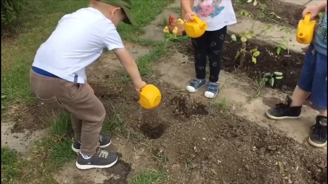 Домашняя элегантность