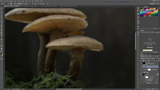 How to make a fantasy Photo Manipulation- Glowing Mushroom- Photoshop Manipulation Tutorial | смотреть онлайн