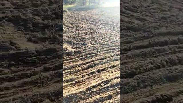 2 часть выравнивание огорода смотреть онлайн