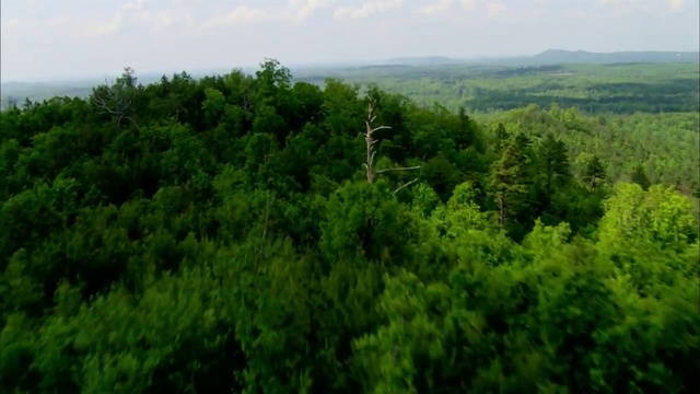 Падение астероида. Столкновение астероида с Землей