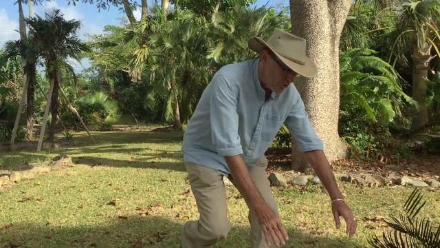 In the Garden with Dewey: Ancient Plants in the Dinosaur Garden смотреть онлайн