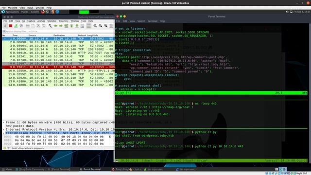 Troubleshooting Python Socket Timing - Toby [HackTheBox] смотреть онлайн