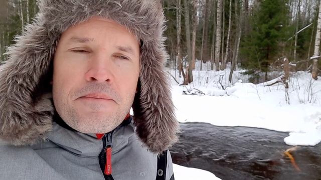 Какие редкие животные обитают в Линдуловской роще на реке Рощинка? Экскурсия в Линдуловскую рощу. смотреть онлайн