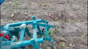 Копаем третий огород одной рукой)