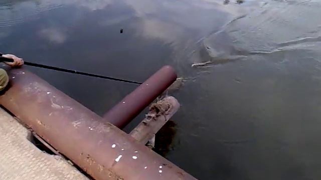 Река Ик. Охота на голавля удалась. смотреть онлайн