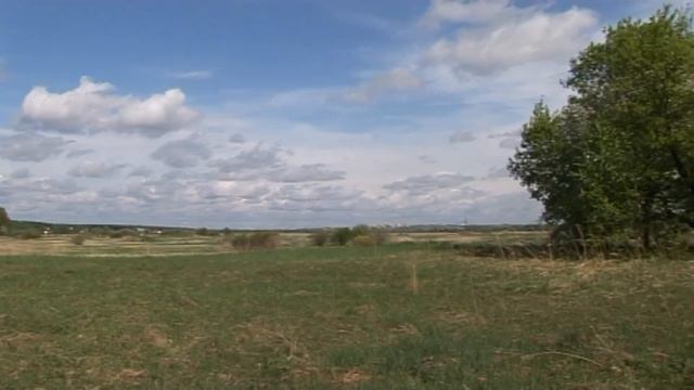 коттеджный поселок "Земляничная поляна" смотреть онлайн