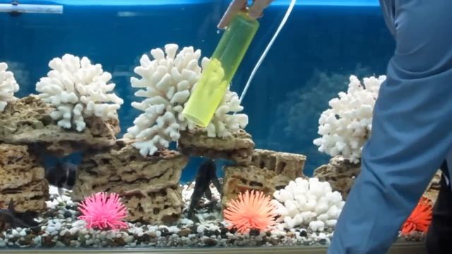 Как чистить грунт в Аквариуме!!! смотреть онлайн