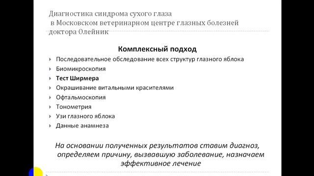 Синдром сухого глаза. Мини-лекция для владельцев и заводчиков. смотреть онлайн