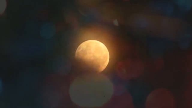 Khmoch Ler Derm Pring | Ghost On Java Plum Tree | Khmer Ghost Story смотреть онлайн