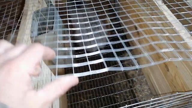 ОКРОЛ КРОЛЬЧИХИ ФР. БАРАН//ЧТО ДЕЛАТЬ?? смотреть онлайн