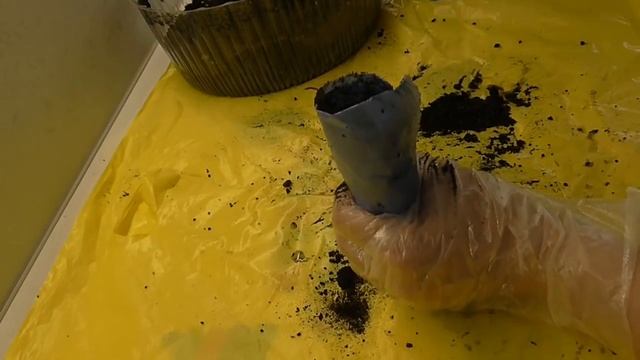 ПРОРЫВ ВЕКА!!! УМНЫЕ СТАКАНЫ ДЛЯ РАССАДЫ ПЕРЦА. смотреть онлайн