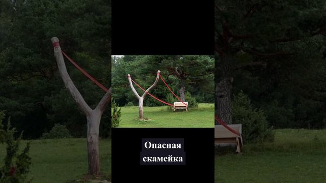 #сад #ландшафт #природа #искусство #алтай #АГУ смотреть онлайн