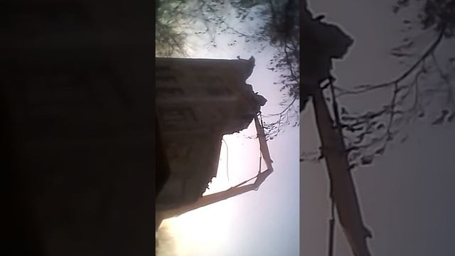 Сносится дом на ул. Первомайская в котором жил Ельцин, последние кадры. смотреть онлайн