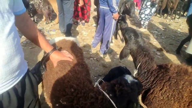 Искра Куй бозори Мархамат Олдинги Бозор Бу  7 мая 2022 г.