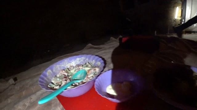 ПЕРВАЯ НОЧЬ НА УЧАСТКЕ / ПОЖАРИЛИ ВКУСНЫЙ ШАШЛЫК смотреть онлайн