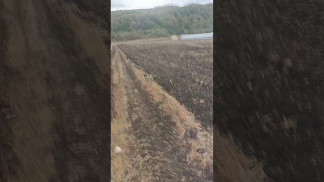 YouCut_20231011_145946975.mp4