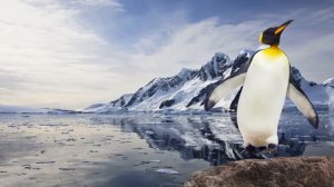 Пифагор Так Ненавидел Бобы, Что Они Его Убили. Парад Фактов 16