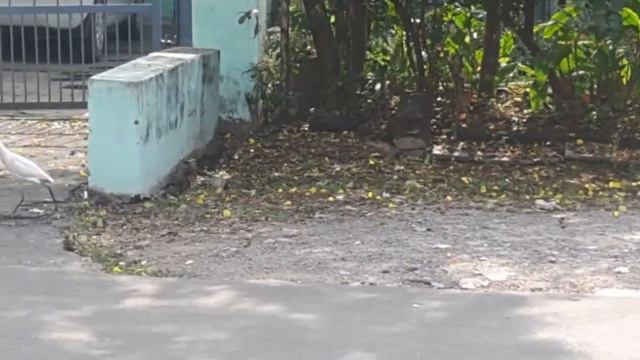 21.Как проходит мой день. смотреть онлайн