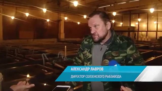 Сёмгу в дальнее плавание смотреть онлайн