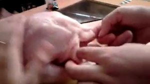 курица рожает
