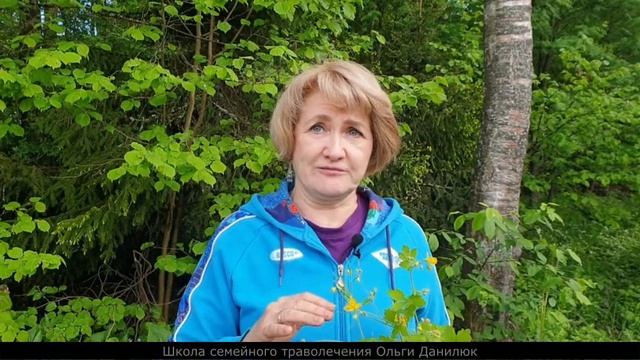 Чистотел. Дарующий телу чистоту. смотреть онлайн