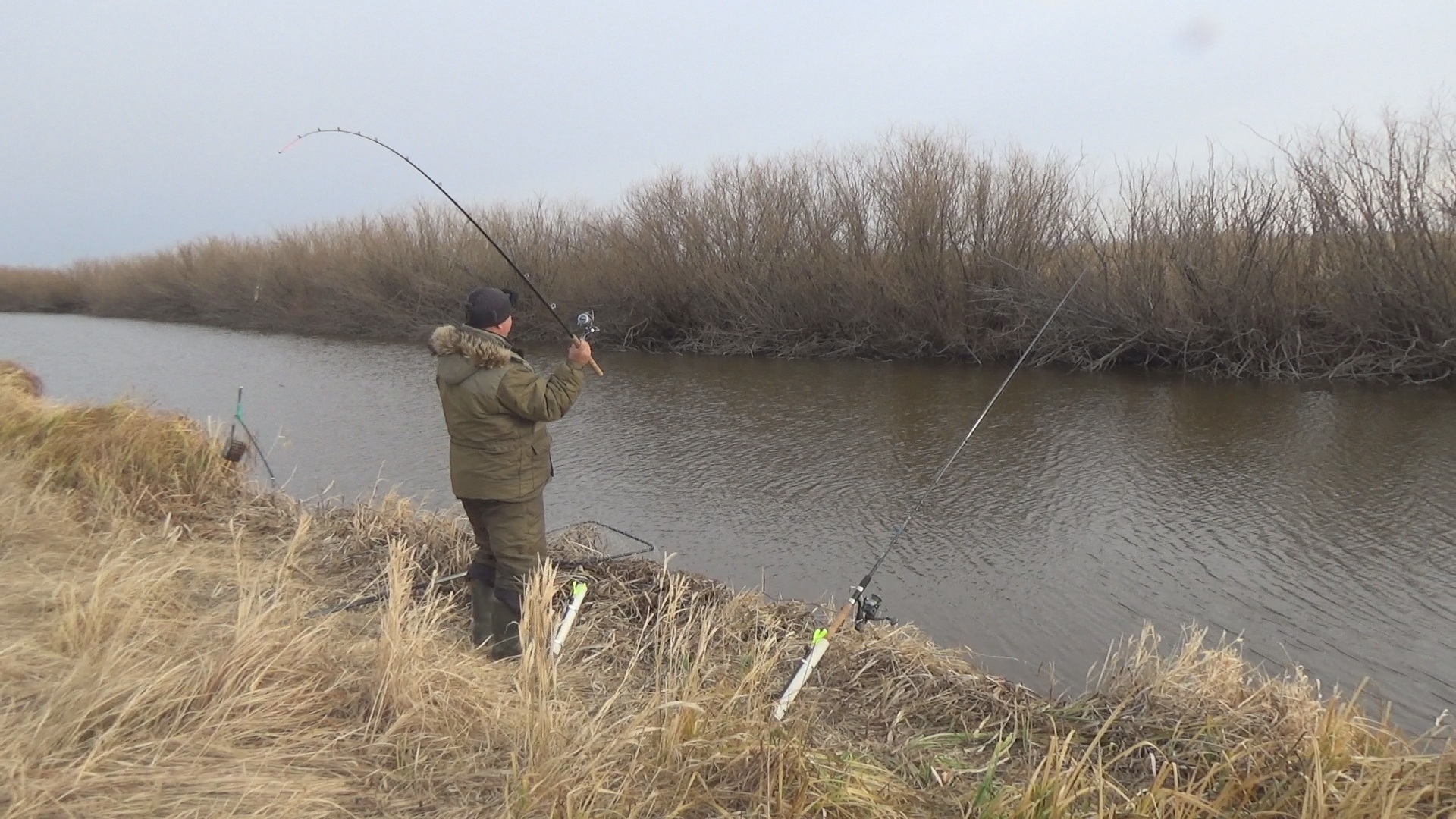 Когда рыбалка пуще не воли. Рыбалка на карася ловля карася на фидер смотреть онлайн