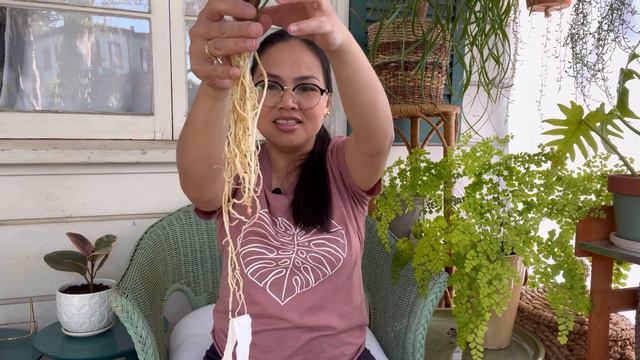 💚 GREENSPACES.ID IMPORT ✈️ Unboxing GONE WRONG 💔 and HOW they FIXED IT 💚 | + 4 MONTHS UPDATE смотреть онлайн