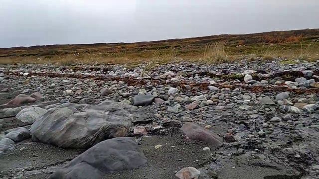 Средний.. Губа Малая Волоковая..отлив смотреть онлайн