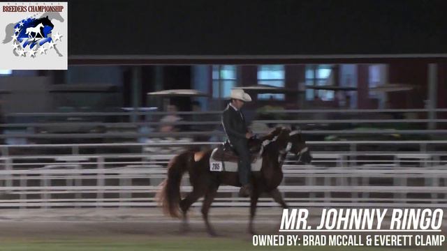 Mr. Johnny Ringo NAB Nominated Stallion смотреть онлайн