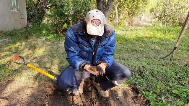 17 Собираю свой урожай (3).mp4 смотреть онлайн
