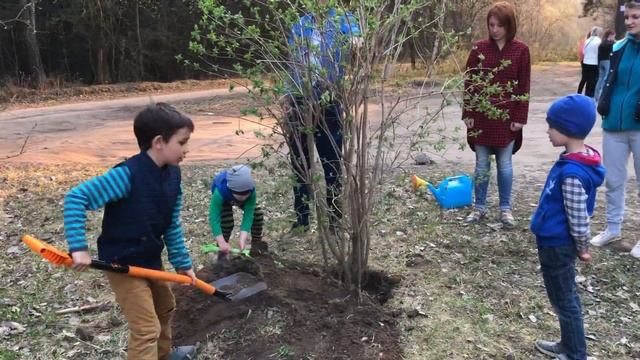 2019 04 23 Сосны. Ян с детьми садят деревья смотреть онлайн