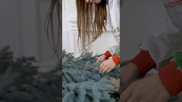 Ель искусственная Империя Ёлок - Ель "Монарх голубая" 2,4 м смотреть онлайн