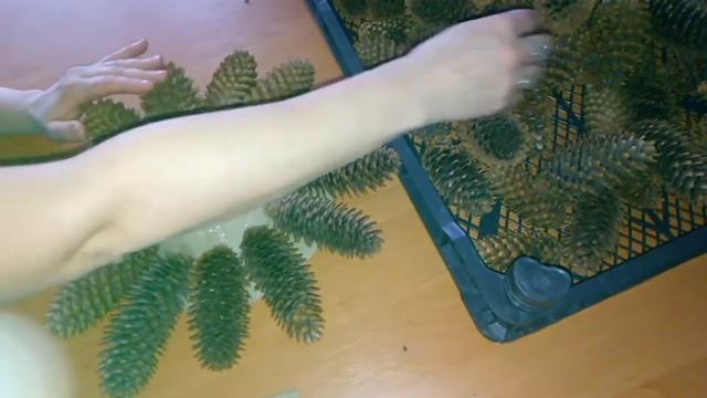 Ёлочка из шишек.