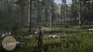 Где найти ВОЛКОВ в RDR2 | Превосходная шкура волка