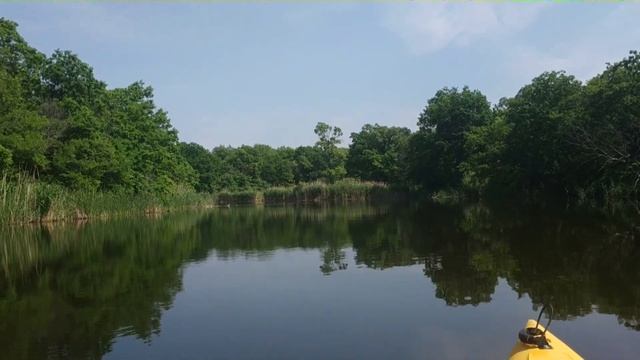 #43 Слухаємо природу смотреть онлайн