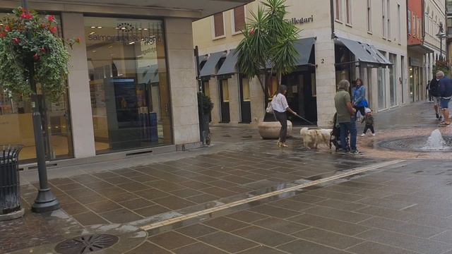 Италия Жасмин и Диор нашла мой карандаш тест рапидо