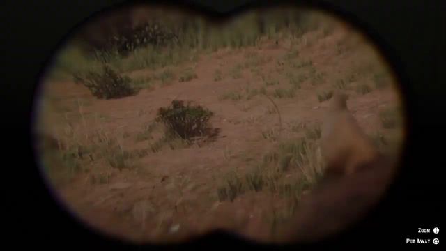 Red Dead Redemption 2 - Tiger Striped Mustang смотреть онлайн