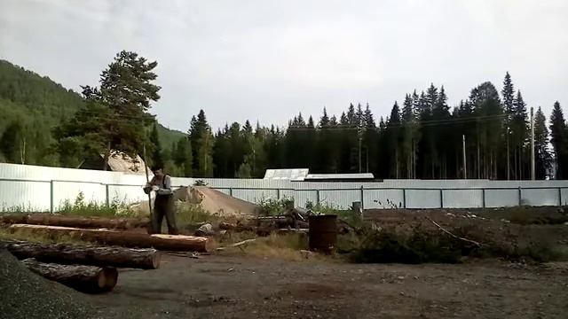 ошкуривание бревен для навеса