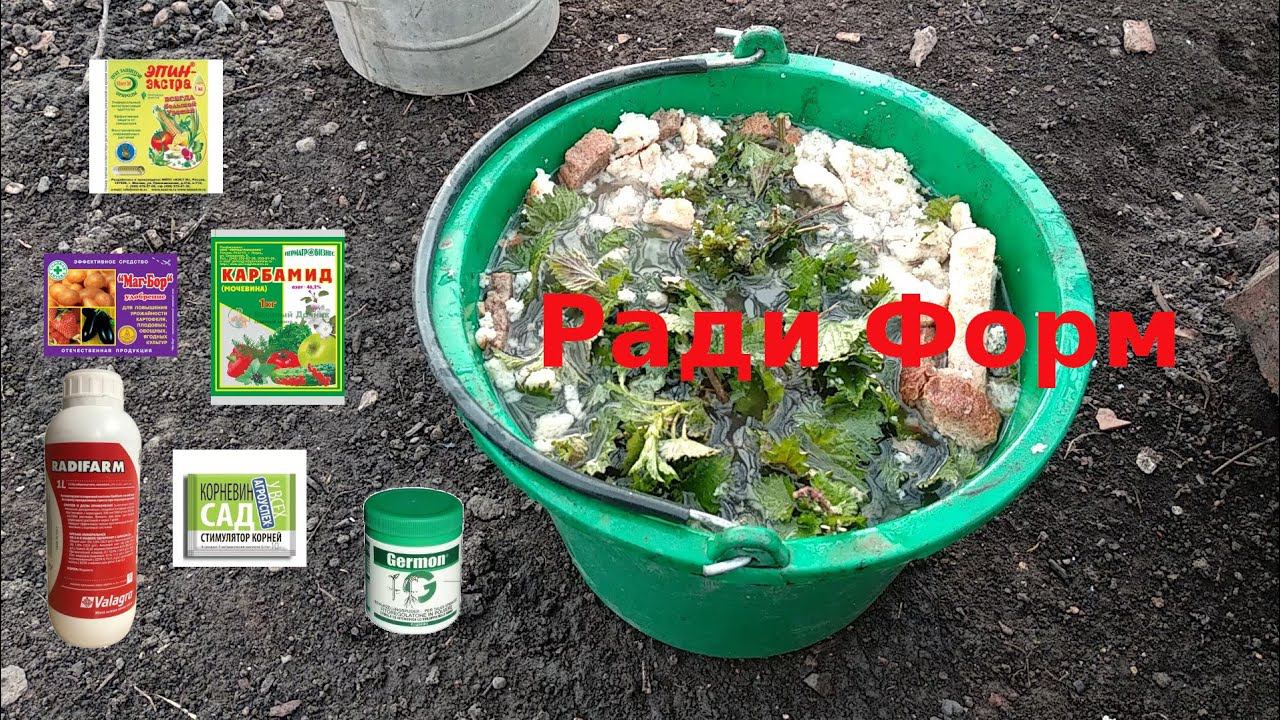 Бесплатные и бесценные удобрения для роз. Ради Форм собственного производства. смотреть онлайн