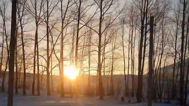 Газ - Чистый Воздух Усть-Каменогорск Быструха Зимовье Eastern Kazakhstan смотреть онлайн