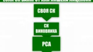 Действия при ДТП. В какую страховую обращаться?