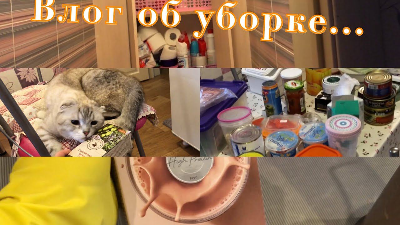 Хранение и организация в санузле//Уборка в мае //Кошка и Валерианка//Велнес коктейль от орифлейм смотреть онлайн
