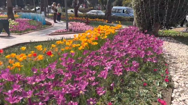 Алания. Фестиваль тюльпанов 2023. смотреть онлайн