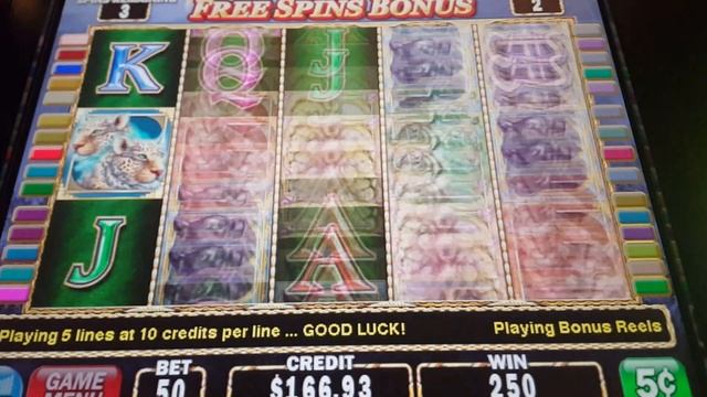 CATS SLOT MACHINE смотреть онлайн