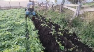 Самодельный минитрактор переломка 4х4 пахота плугом 2020