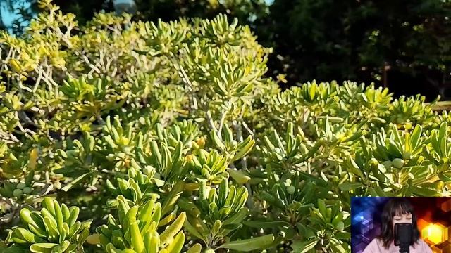 Подозревая неладное, миллионер установил в комнате скрытую камеру. Но увидев, кто туда зашёл... смотреть онлайн