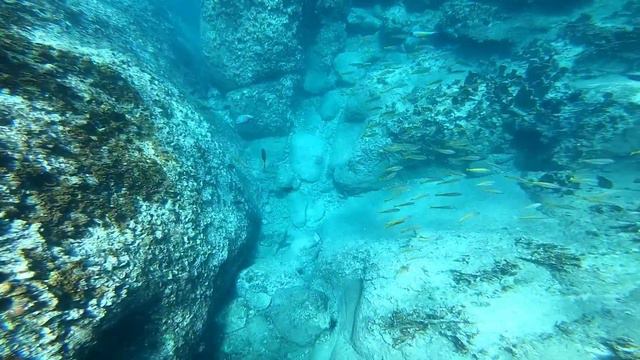 Сноркелинг в Нячанге, Вьетнам смотреть онлайн